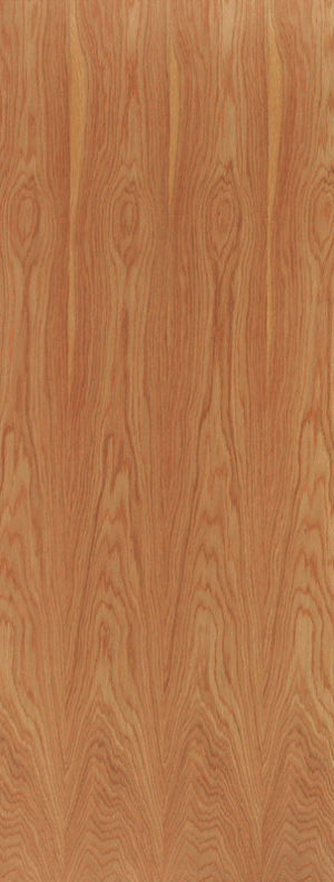 External Paint Grade FD30 Fire Door Blank Unfinished